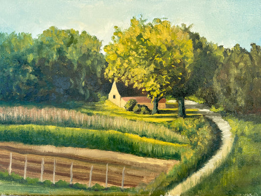 Morning light